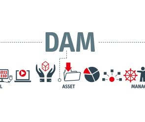 DAM System