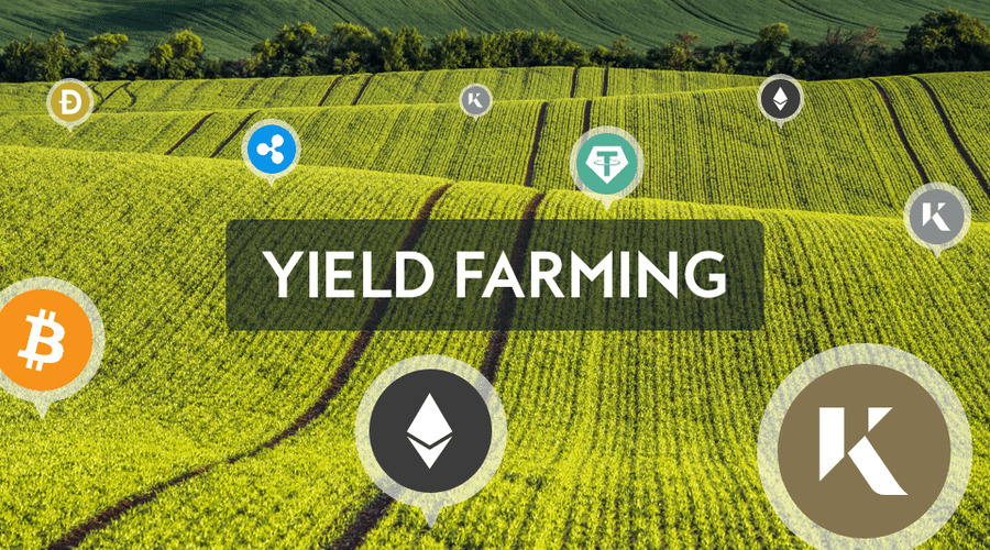 How DeFi Insurance Supports Risk Management in Yield Farming